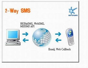 探索软件开发与相关技术领域